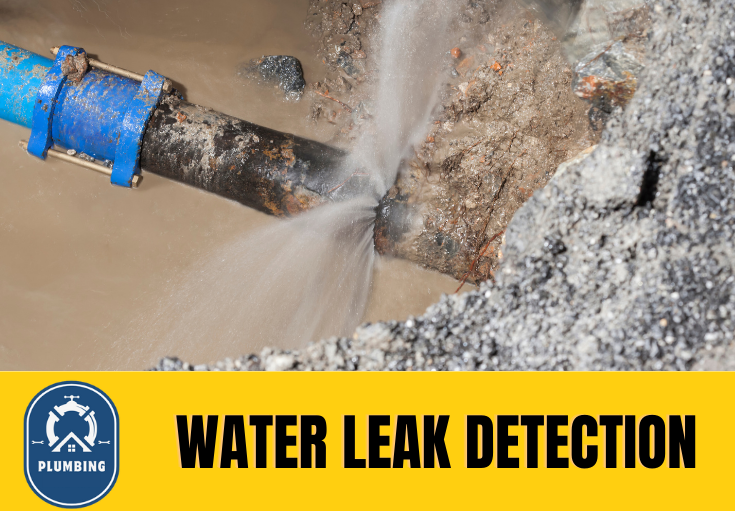 leak detection Gillingham